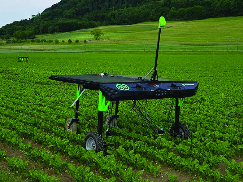 How Weed Killer Robots helps in Revolutionize Farming?