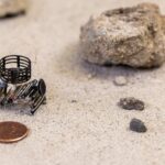 These 3D Printed Millirobots Can Sense and React to Their Surroundings