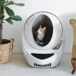 What to Consider Before Buying a Self-Cleaning Litter Robot for Cats